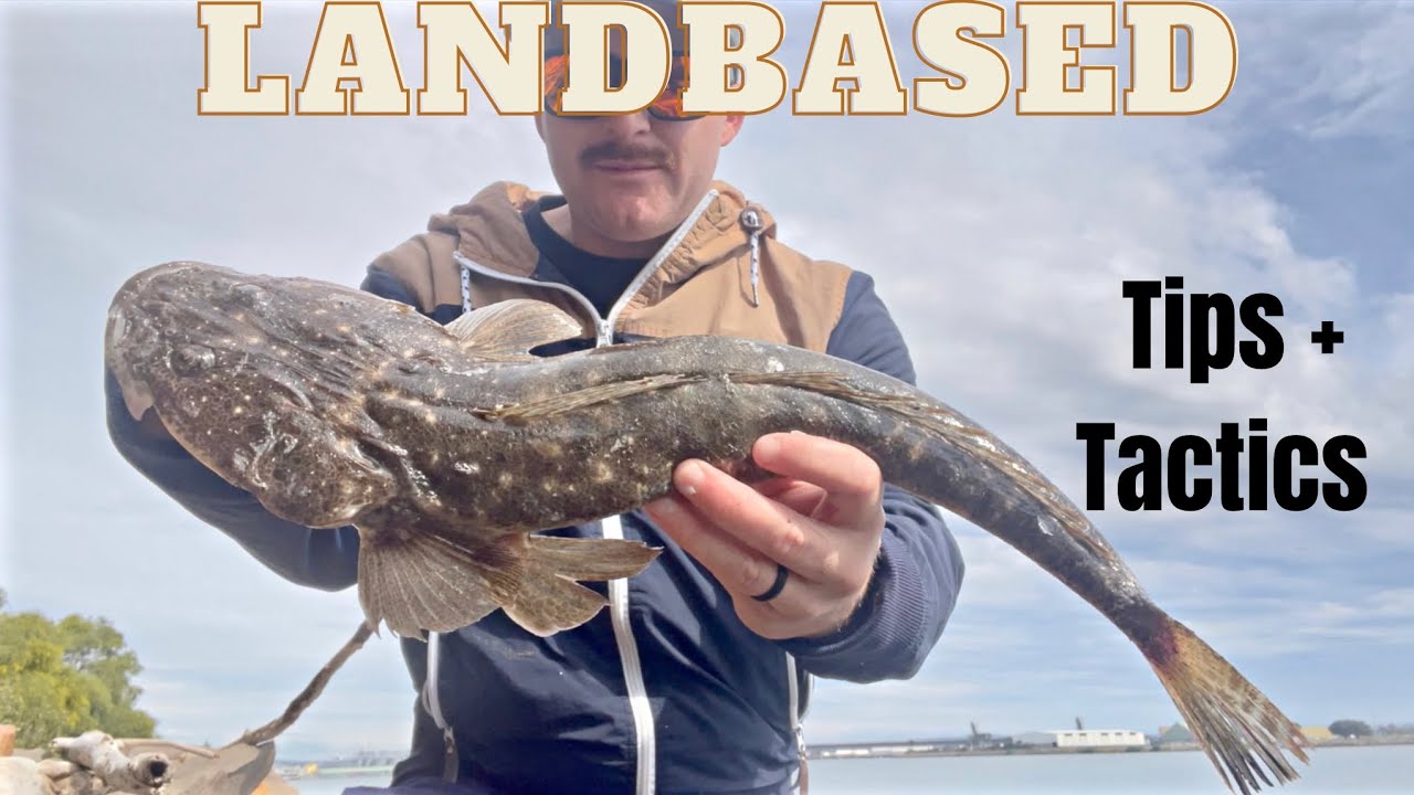 Land based Lure fishing TIPS for Beginners YouTube
