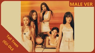 (G)I-DLE - Tall Trees | Male Version