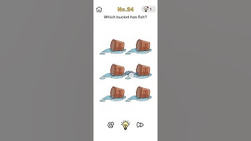 Brain out No. 24 Which bucket has fish