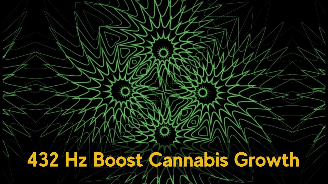 432 Hz Music for Cannabis Growth 🌱 Maximize Yield & Boost Flowering Naturally!