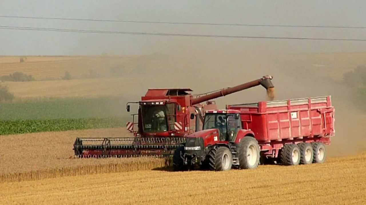 Ready for the big harvest ?