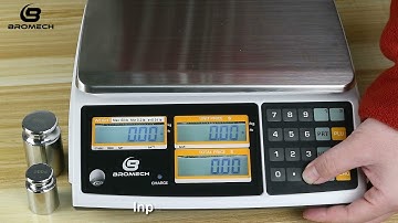 How to setup the BROMECH ATP NTEP SCALE PLU