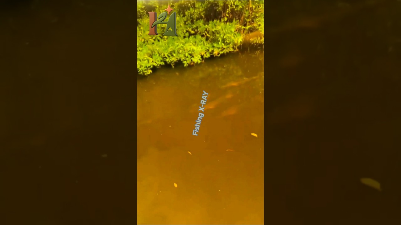 X-Ray Fishing Glasses Test – See Fish Without Diving! | Hastonics 