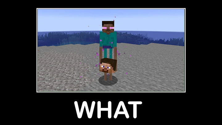 Wait What Minecraft Memes #8
