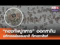 “กองทัพปูทหาร” ออกหากิน มหัศจรรย์ธรรมชาติ ที่หาดกาสิงห์ | ข่าวดัง สุดสัปดาห์ 11-05-2567