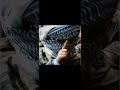 غابَتِ الشمسُ وغَابوا… !!
