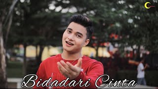 Bidadari Cinta - Adibal || Cover by Erpan LIDA 2020