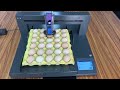 DCODE Auto Egg Inkjet Printer for Expiry Date Logo Barcode Printing Coding Machine On Eggs