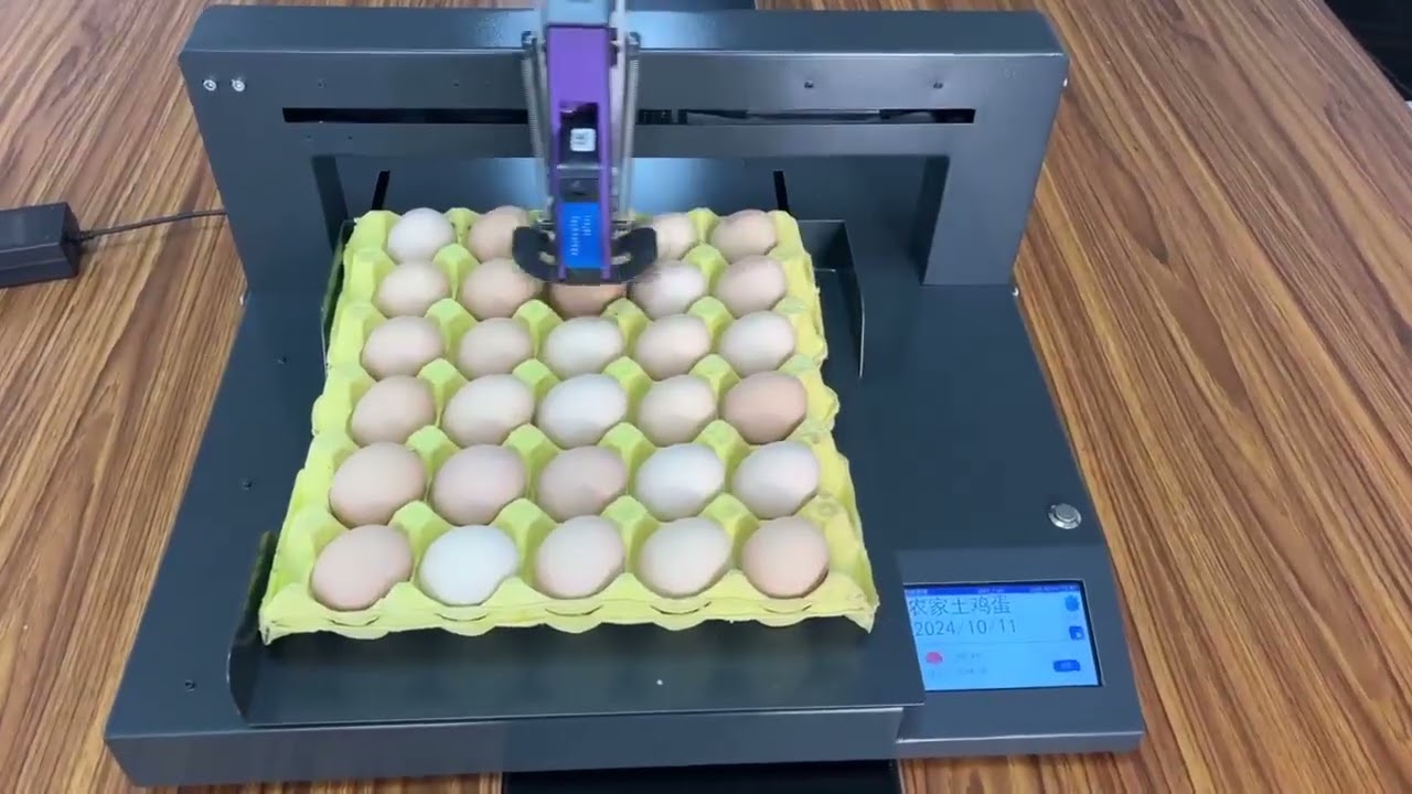 DCODE Auto Egg Inkjet Printer for Expiry Date Logo Barcode Printing Coding Machine On Eggs