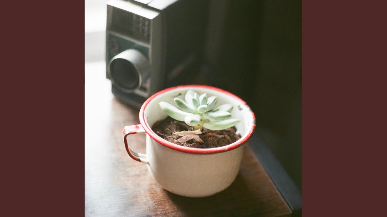 sad boy summer (voice memo)