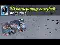 Новый рекорд на Питомнике им. А.С. Брагина 07.02.2022 (Полная версия)