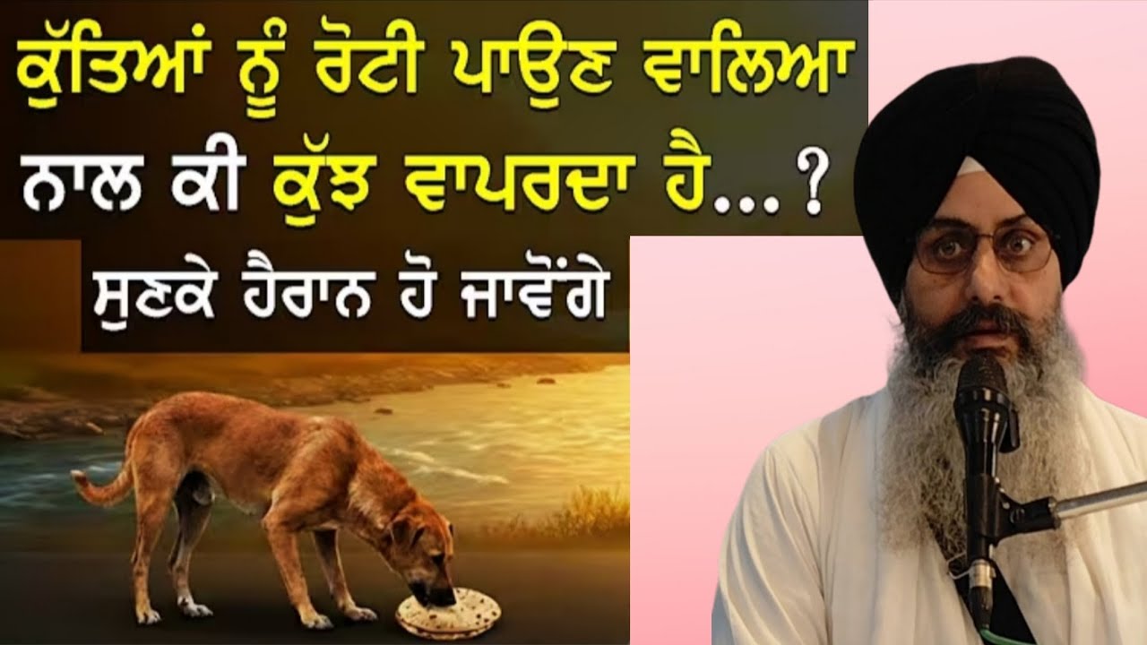 ਕੁੱਤਿਆਂ ਨੂੰ ਰੋਟੀ ਪਾਉਣ ਵਾਲਿਆਂ ਨਾਲ ਕੀ ਕੁਝ ਵਾਪਰਦਾ ਹੈ..? Bhai Sukhchain Singh ji Chandigarh 