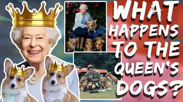 What Happens To Queen Elizabeth’s Dogs
