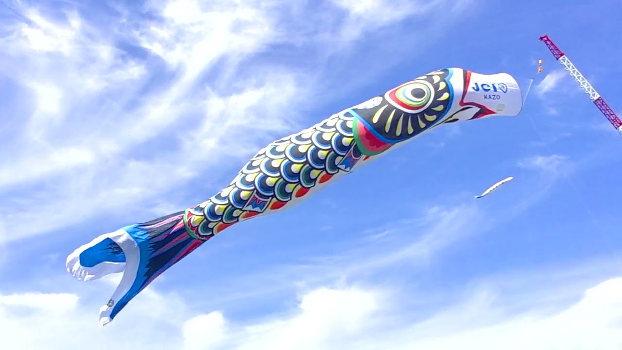 こいのぼり 2024年 城山公園 鯉のぼり | お知らせ／NEWS | 館山城・城山公園【公式