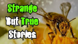 Strange Stories From Around The Internet