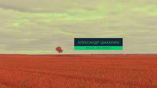 Александр Шаханин