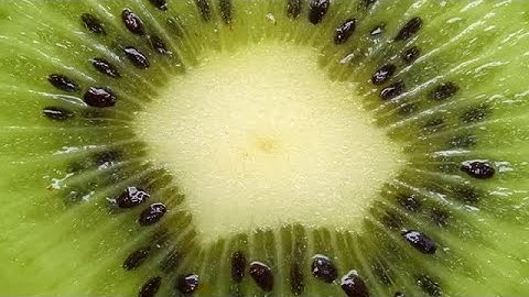 Kiwi Macro Stock Video