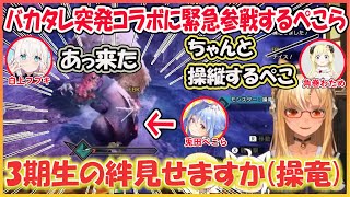 【ホロライブ切り抜き】バカタレ突発コラボに緊急参戦するぺこら（ウルクスス）【角巻わため/白上フブキ/不知火フレア/兎田ぺこら/hololive】