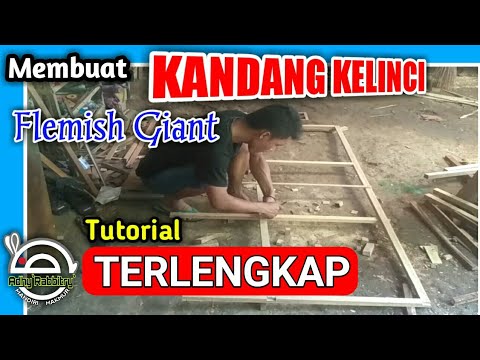 Cara Membuat Kandang Kelinci Flemish Giant Part 1 ll How to make rabbit