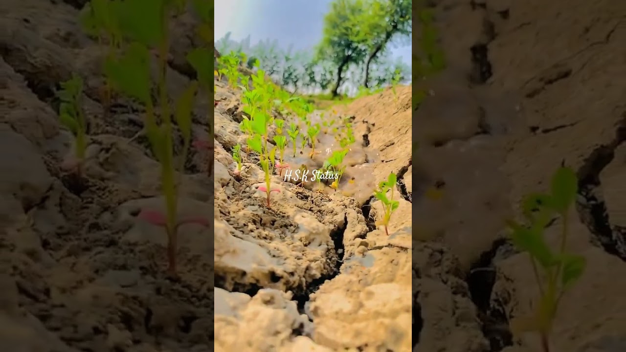 New Status Sindhi 2024