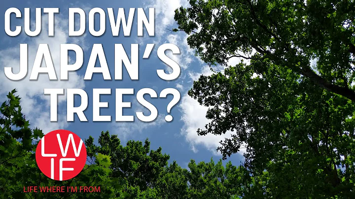 Why Japan Isn't Cutting Down Enough of its Trees - DayDayNews
