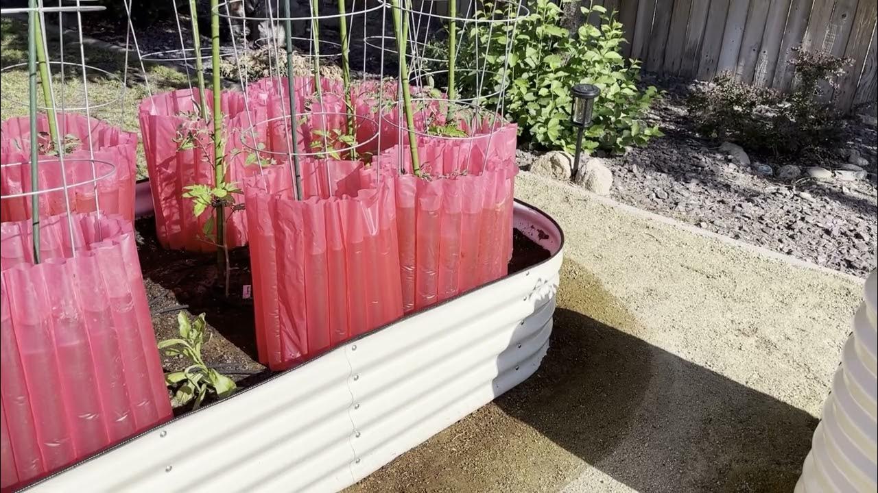 Vegega vs. Vego Raised Metal Garden Bed Review (Plus 10 Off Coupon