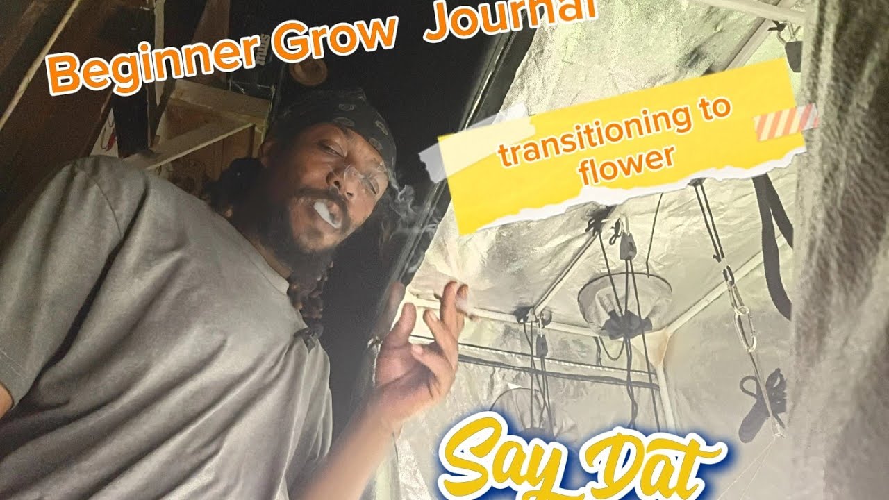 2×4 Grow Transformation into flower