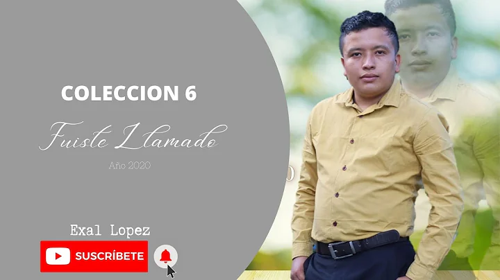 EXAL LPEZ VOL 6 ANO 2020