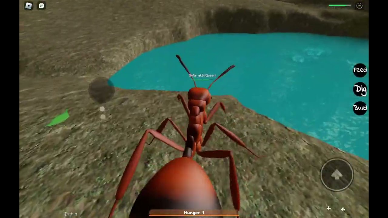 Two Queens Ant Life Roblox YouTube 