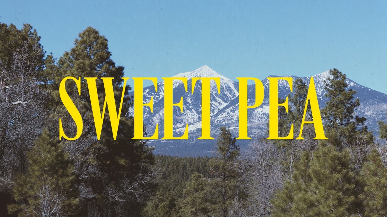 Sleduj Coffee Culture - Sweet Pea (Official Video) na YouTube