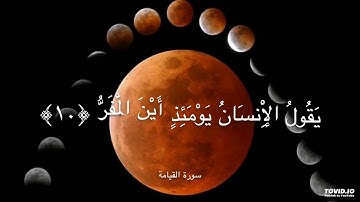 سورة القيامة (فَإِذَا بَرِقَ الْبَصَرُ..