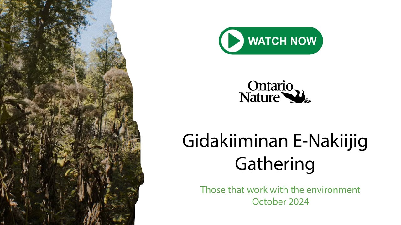 2024 Gidakiiminan E-Nakiijig Gathering