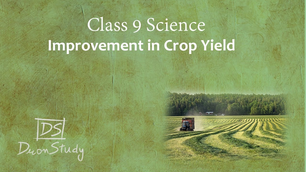 Improvement In Crop Yield Improvement In Food Resources Cbse Class 9th Ix Science Youtube Improvement In Crop Yield Improvement In Food Resources Cbse Class 9th Ix Science Youtube