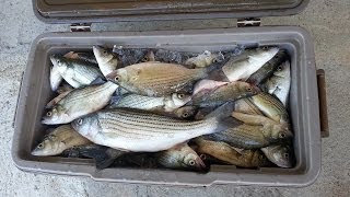 Lake Livingston Vertical Jigging 6/13/14
