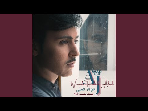 Wenak Habeb Alroh جواد العلي وينك حبيب الروح 
