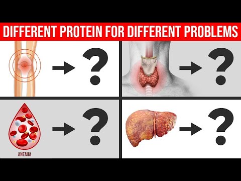 Thumbnail for Eat Different Proteins for Different Problems