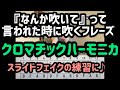 【クロマチックハーモニカバージョン♪】『なんか吹いて』って言われたときに吹いたらカッコ良さそうなフレーズ♪【朝モニカ♫】