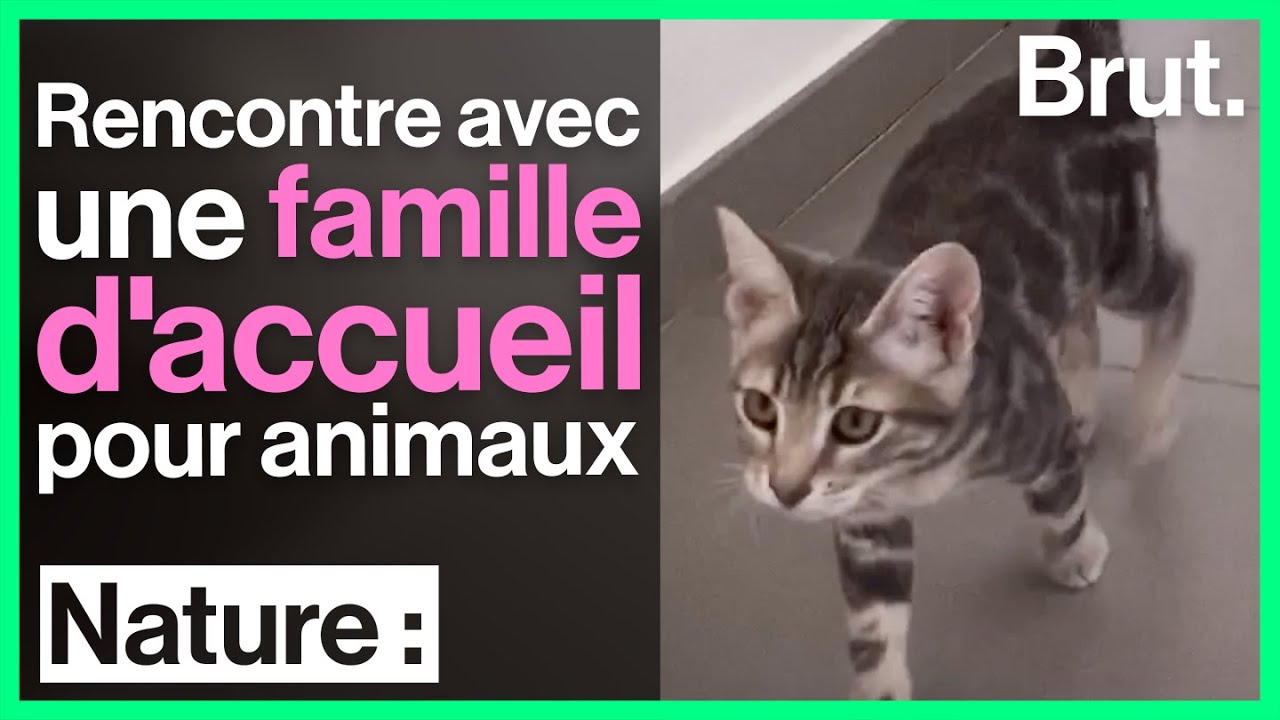 Chat gratuit en ligne
