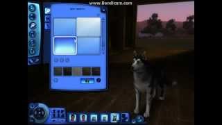 ч.02 (__The Sims 3__) "Создание собаки и лошади в мою семью" ч.02 (__The Sims 3__) "Создание собаки и лошади в мою семью"