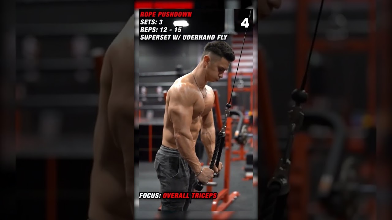 🔥GET A SHREDDED CHEST 💯☑️CHEST x TRICEPS WORKOUT!