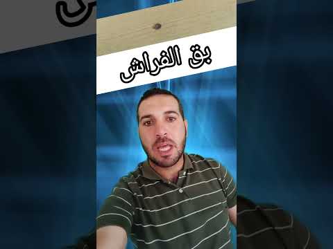 حشرات الفراش بق الفراش المزعج بق الفراش 