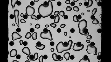 Pin-fin Array from Pennsylvania State University