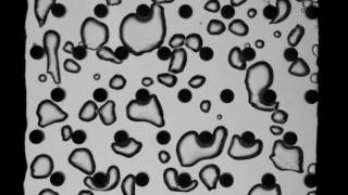 Pin-fin Array from Pennsylvania State University