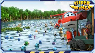 Superwings | S2 | Mangrove Mess and more | Ep.43~45