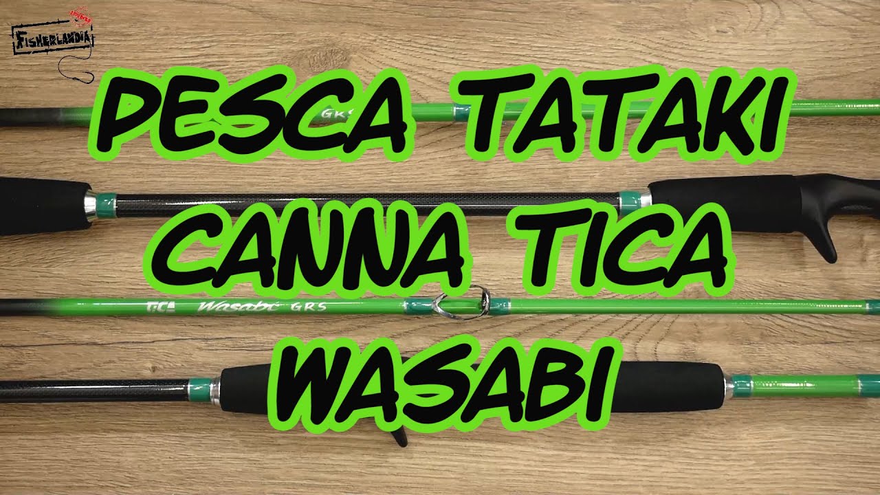 TICA Wasabi Winds Type L - Canne à Pêche