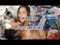 Weekend Vlog + Grocery / Costco Haul