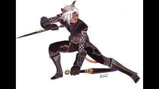 Final Fantasy XI   Ninja Artifact Armor Quests