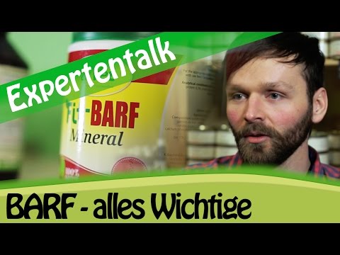 BARF: So barfen Sie richtig!