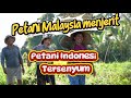 127#PETANI MALAYSIA SENSARA. PETANI INDONESIA TERTAWA!