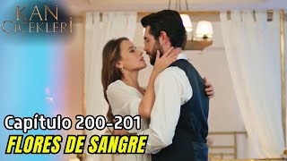 Dilan y Baran pasan la noche juntos | Kan Çiçekleri (Flores de Sangre) Capitulo 200 y 201